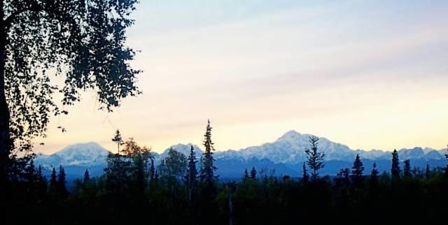 Grace And Bill'S Freedom Hills B&B Talkeetna Kültér fotó