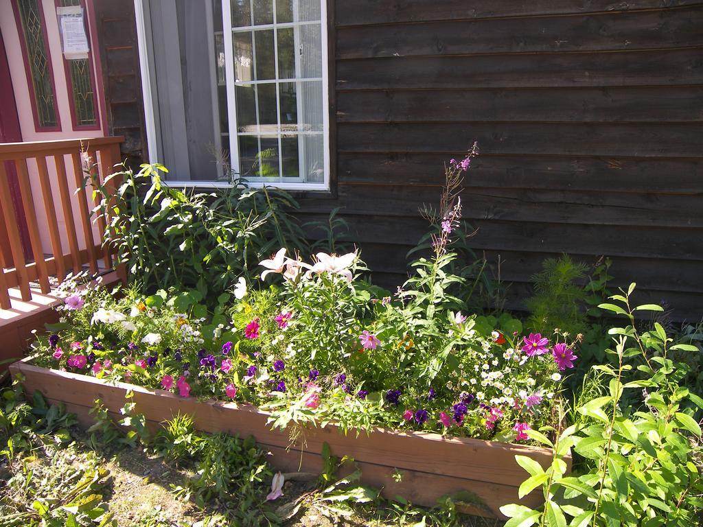 Grace And Bill'S Freedom Hills B&B Talkeetna Kültér fotó