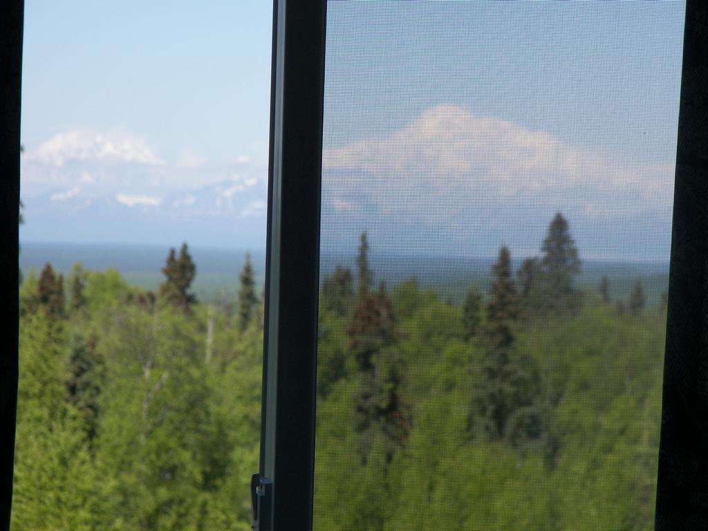 Grace And Bill'S Freedom Hills B&B Talkeetna Kültér fotó